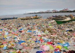 Was würdest Du gegen die weitere verschmutzung der Meere machen?